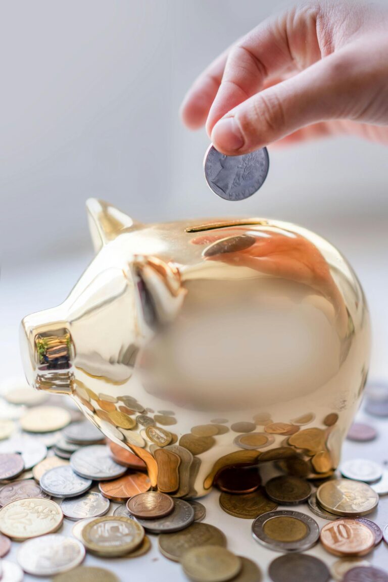 Fonji launches The Rich Guy Math blog for financial freedom and investing tips.